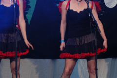 The-Twins-Konzert-34
